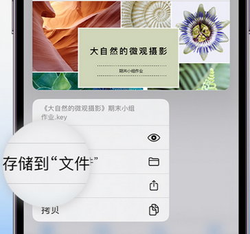 朔州apple维修中心分享iPhone文件应用中存储和找到下载文件