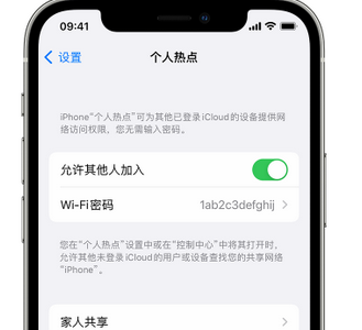 朔州apple服务站点分享iPhone上个人热点丢失了怎么办 