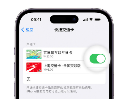 朔州apple维修点分享iPhone上更换Apple Pay快捷交通卡手绘卡面 