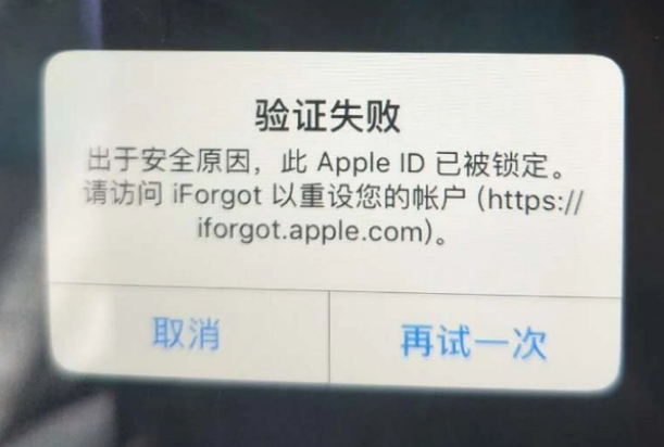 朔州iPhone维修分享iPhone上正常登录或使用AppleID怎么办 