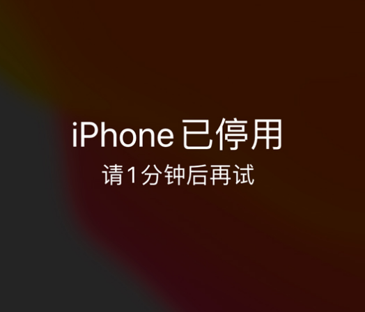 朔州苹果手机维修分享:iPhone 显示“不可用”或“已停用”怎么办？还能保留数据吗？ 