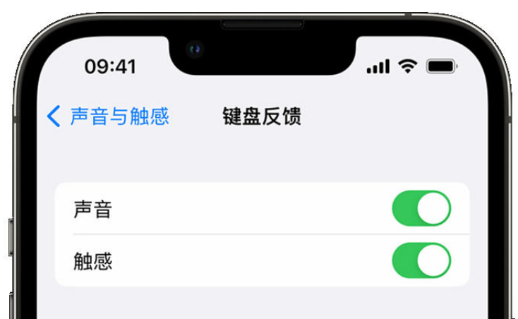 朔州苹果手机维修分享iPhone 14触感键盘使用方法 