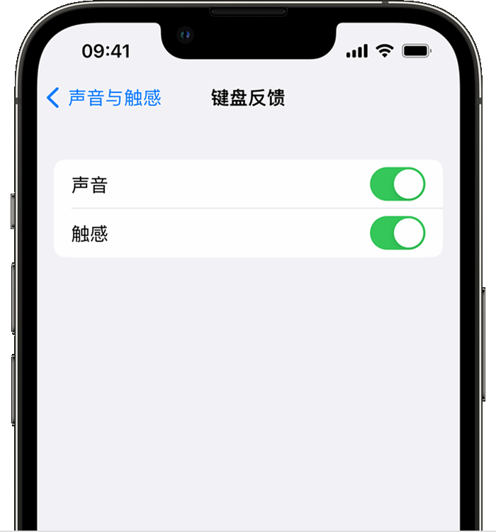 朔州苹果14维修店分享如何在 iPhone 14 机型中使用触感键盘 