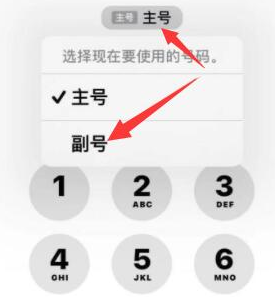 朔州苹果14维修店分享iPhone 14 Pro Max使用副卡打电话的方法 