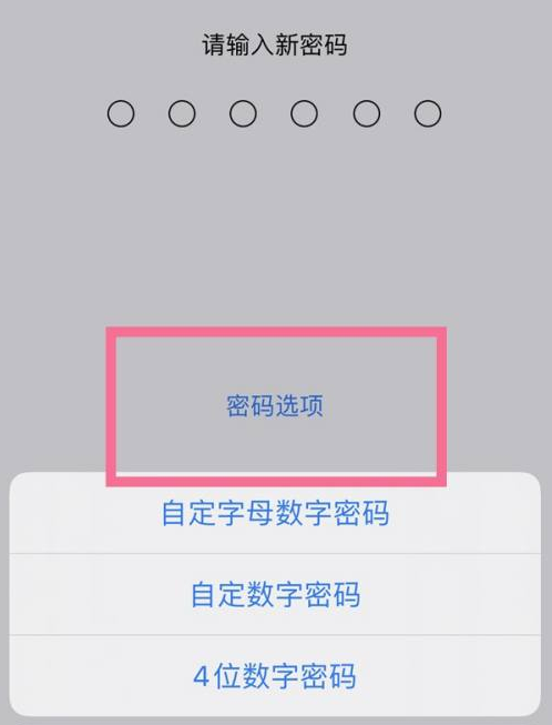 朔州苹果14维修分享iPhone 14plus设置密码的方法 