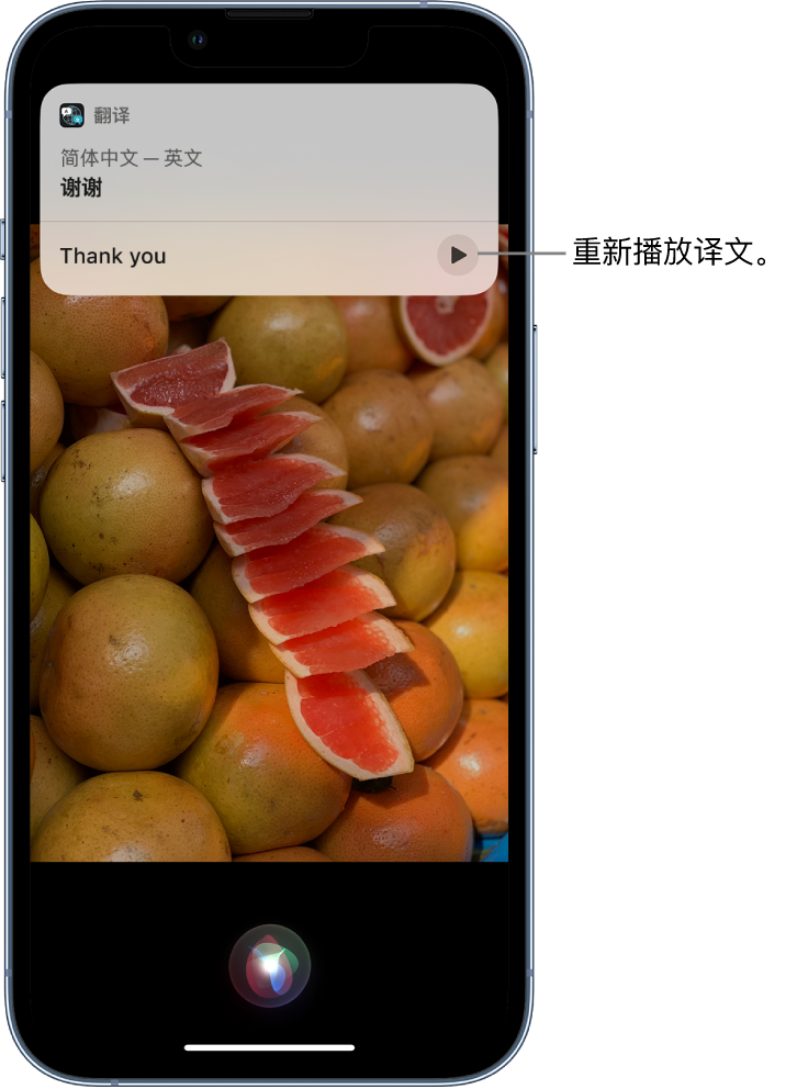 朔州苹果14维修分享 iPhone 14 机型中使用 Siri：了解 Siri 能帮你做什么 