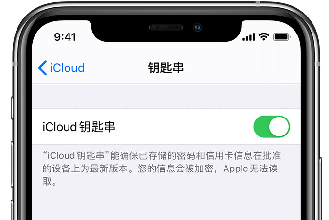 朔州苹果手机维修分享在 iPhone 上开启 iCloud 钥匙串之后会储存哪些信息 