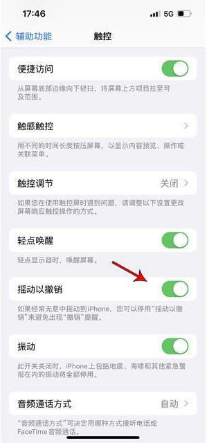 朔州苹果手机维修分享iPhone手机如何设置摇一摇删除文字 